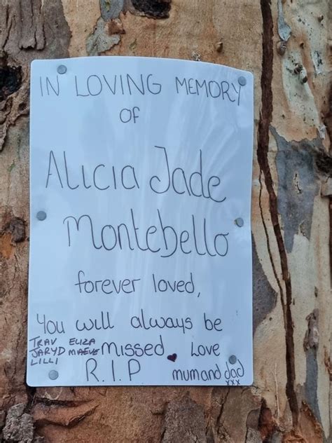 alicia montebello facebook|Bochara Victoria crash: Alicia Montebello warned .